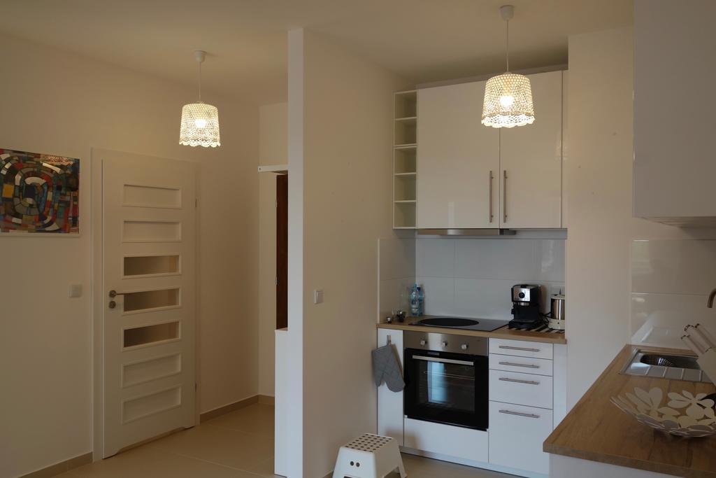 1 Bedroom Francuska Park Apartment Katowice Buitenkant foto